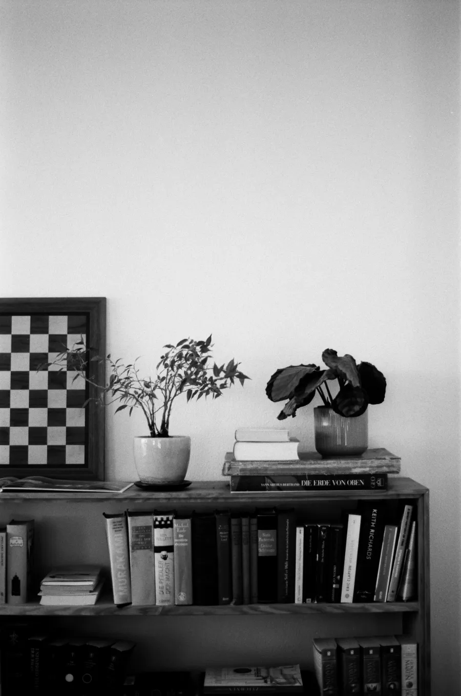 Bücherregal